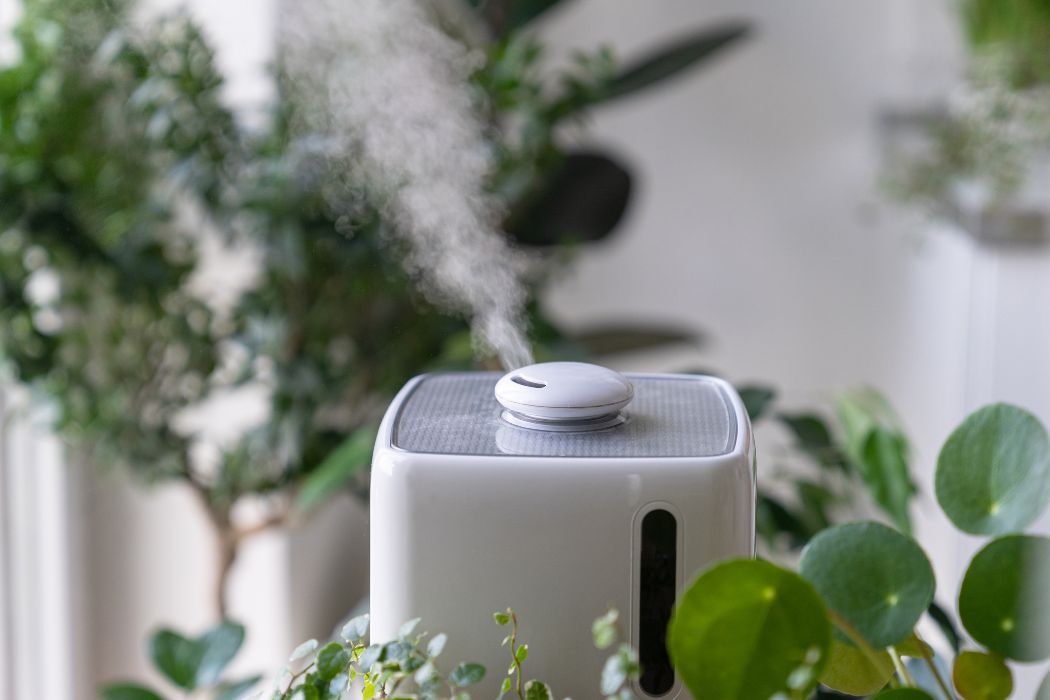 Oczyszczacz powietrza dla alergików